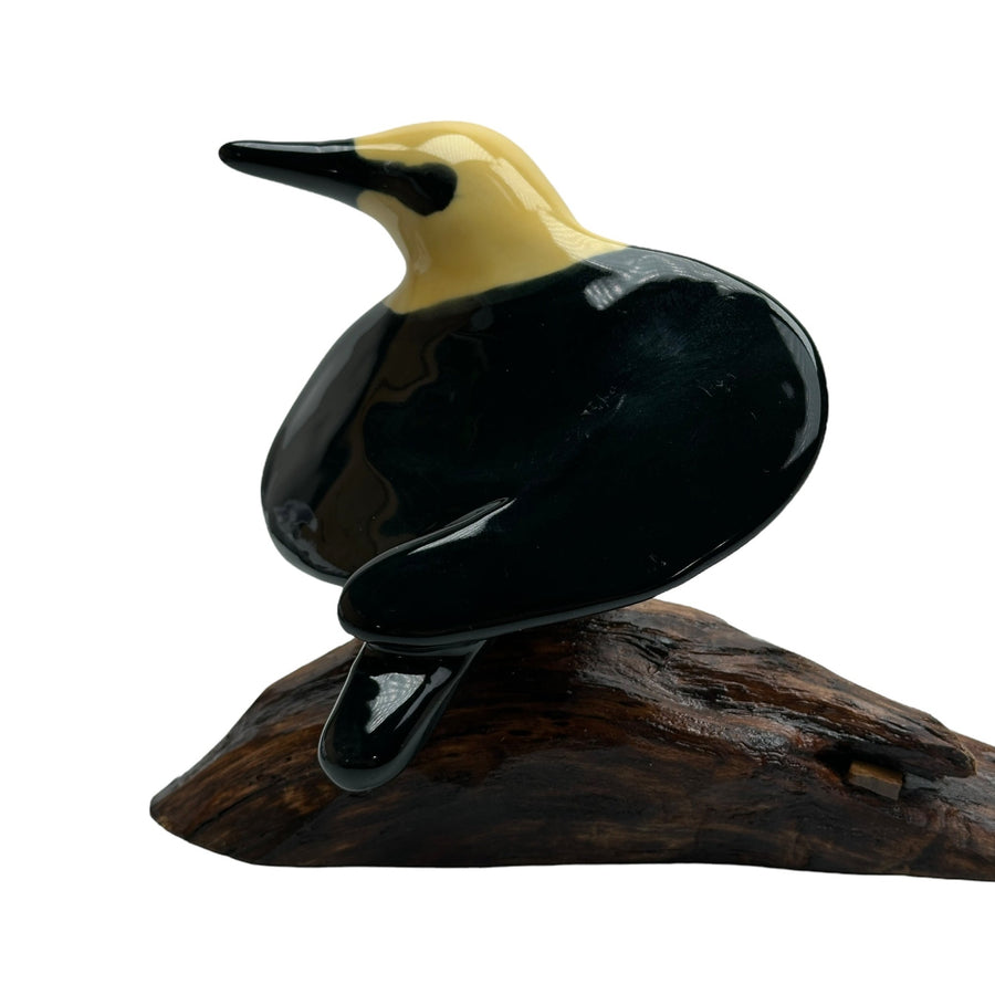 Bird - Yellow-headed Blackbird #1170