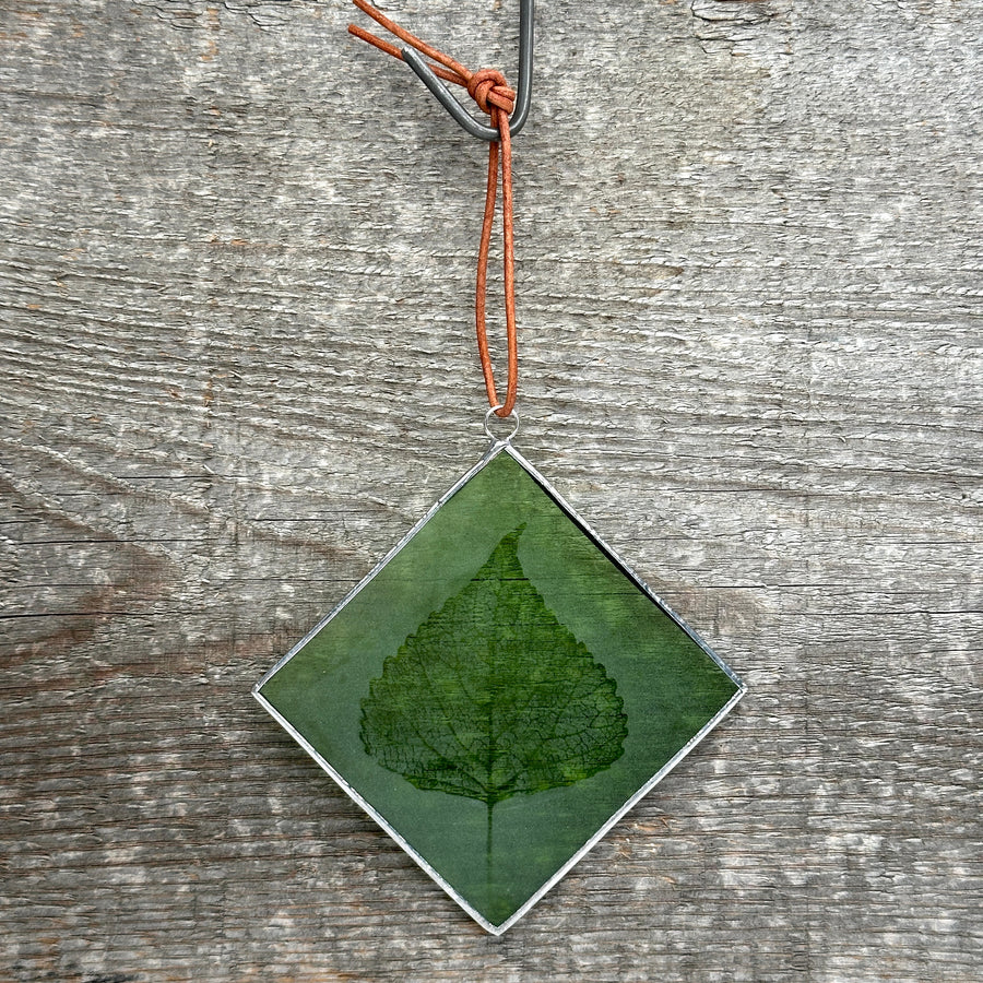 Etched Glass Suncatcher - Cottonwood Leaf
