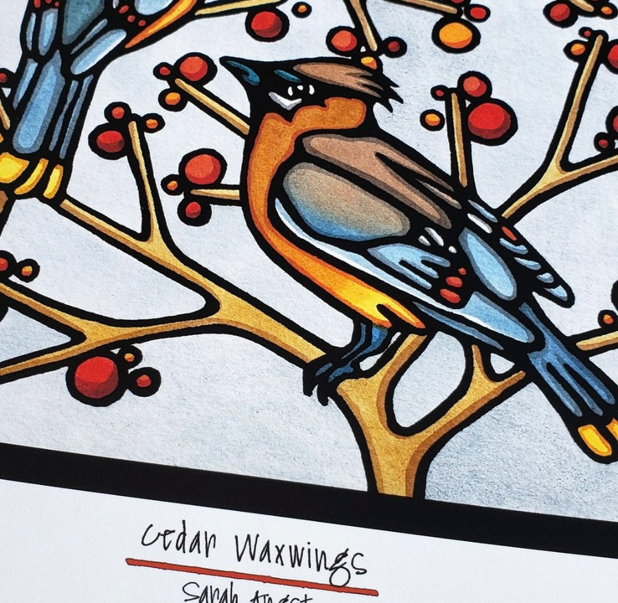 Cedar Waxwings
