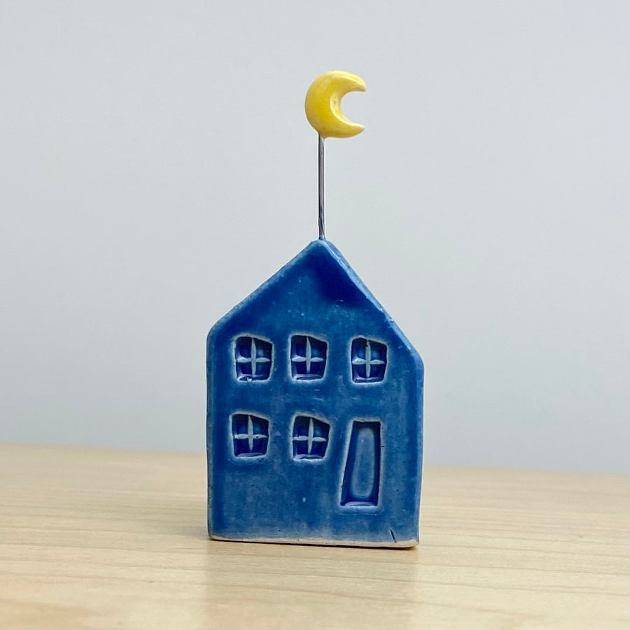 Dark Blue Tiny House