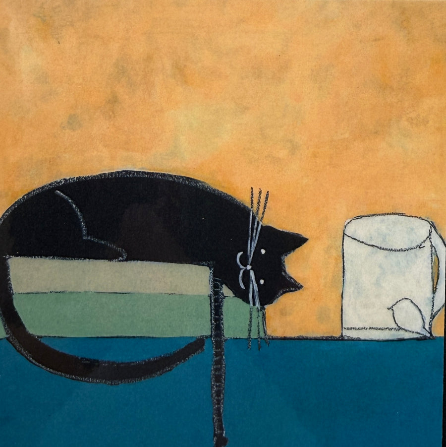 Stormy Cat – Altitude Gallery