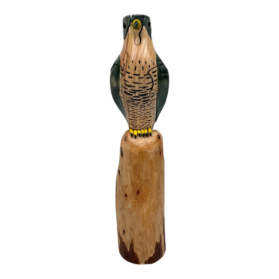 Peregrine Falcon Puzzle
