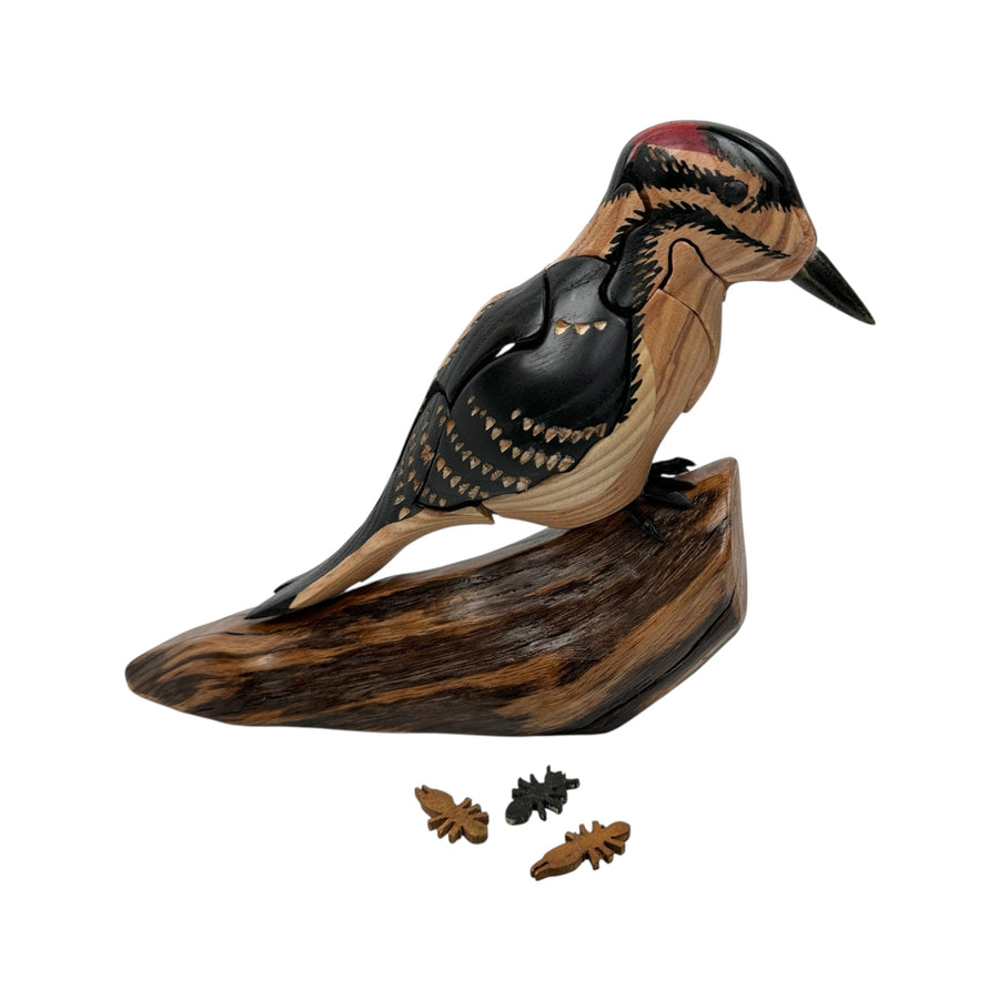 Downy Woodpecker Puzzle