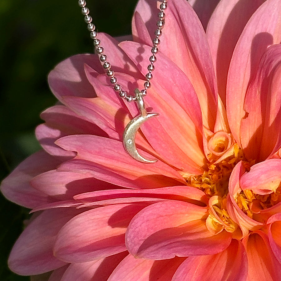 Necklace - Crescent Moon with Diamond