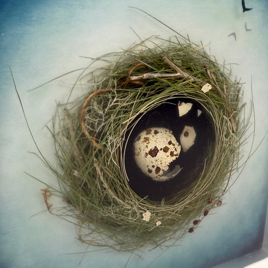 Hatch