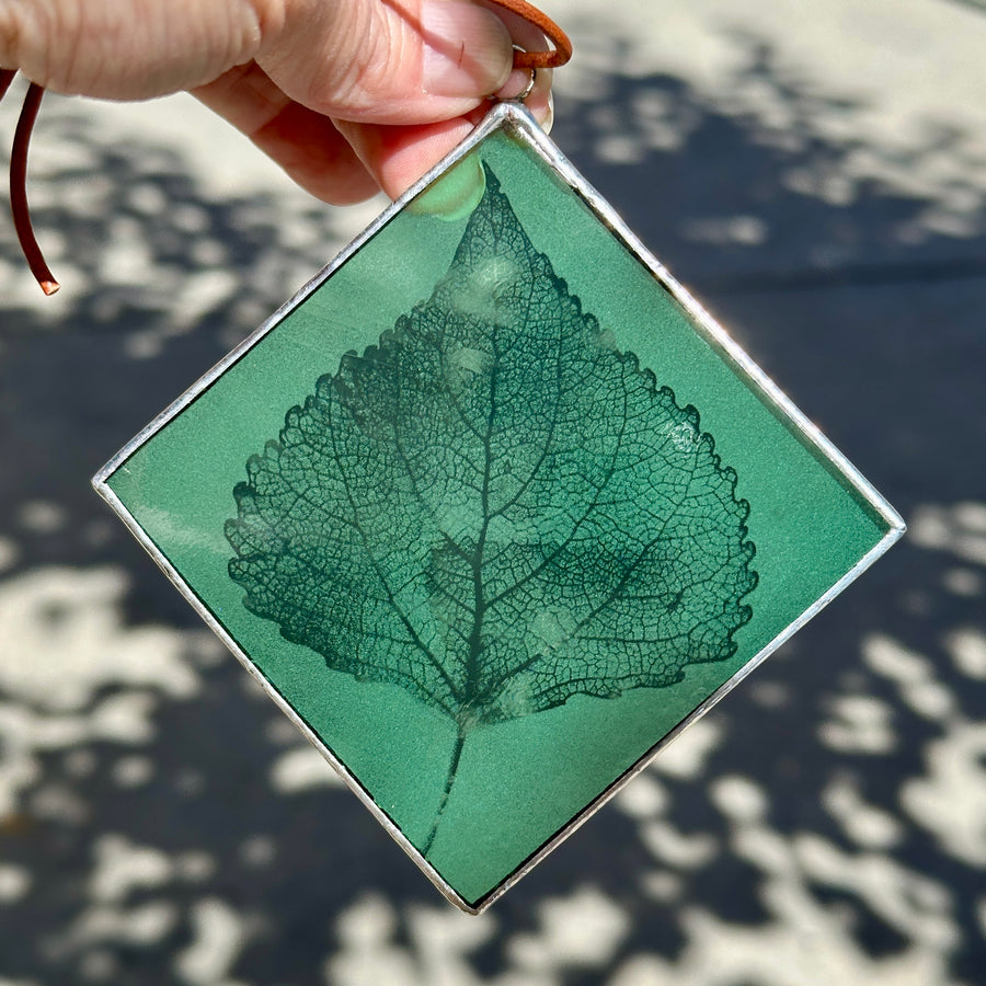 Etched Glass Suncatcher - Cottonwood Leaf