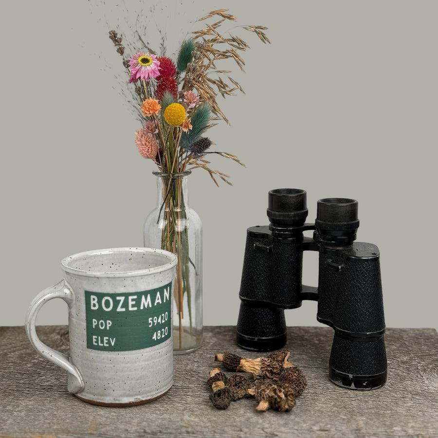 Mug - Bozeman Population