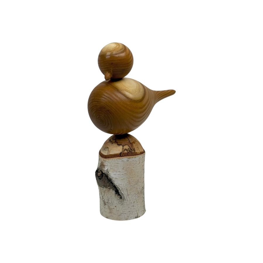 Bird on Perch