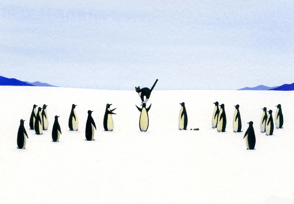 Greg Stones – Altitude Gallery