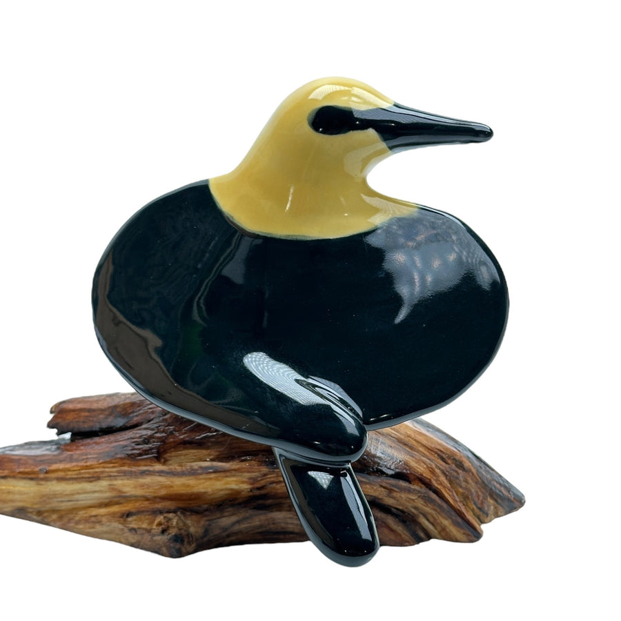 Bird - Yellow-headed Blackbird #1169