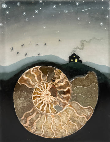 Lost Sea with Ammonite