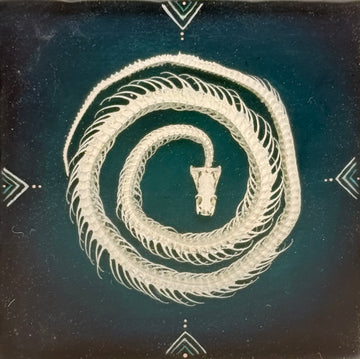 Coil