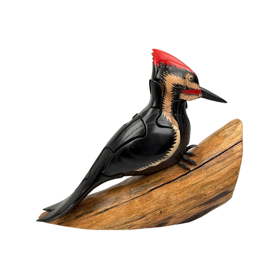 Pileated Woodpecker Puzzle