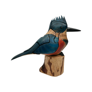 Kingfisher Puzzle
