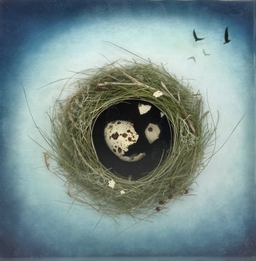 Hatch