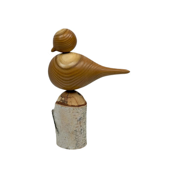 Bird on Perch