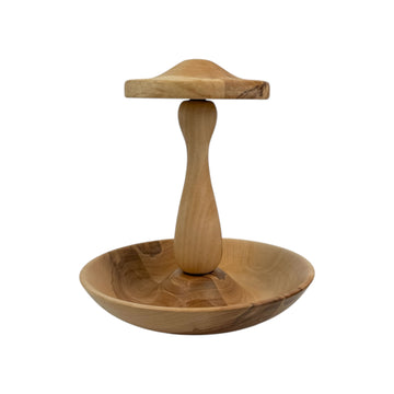 Earring and Jewelry Holder