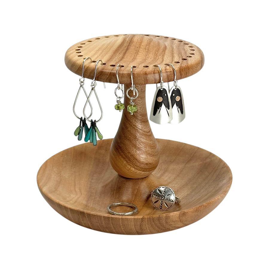 Earring and Jewelry Holder