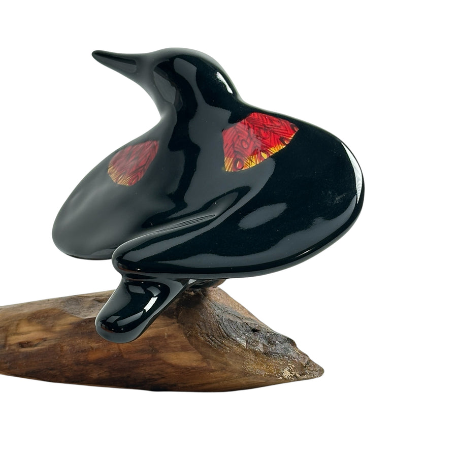 Bird - Red-winged Blackbird #1286