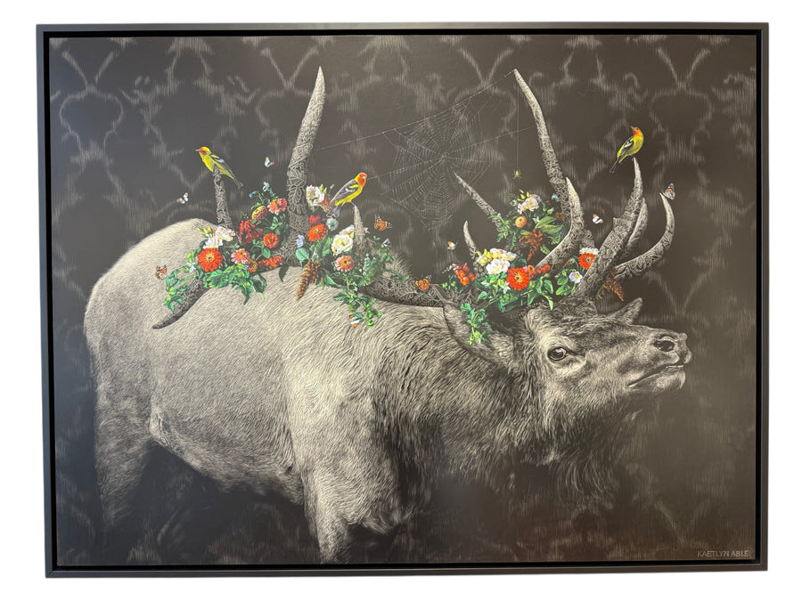 Strata - Original Scratchboard