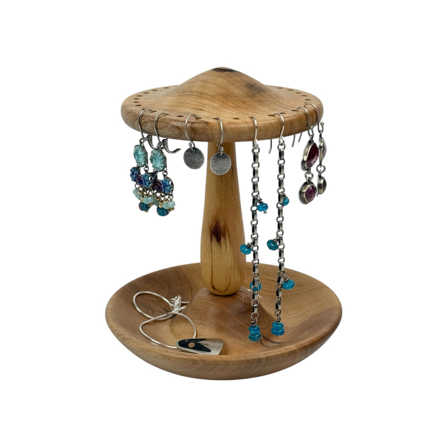 Earring and Jewelry Holder