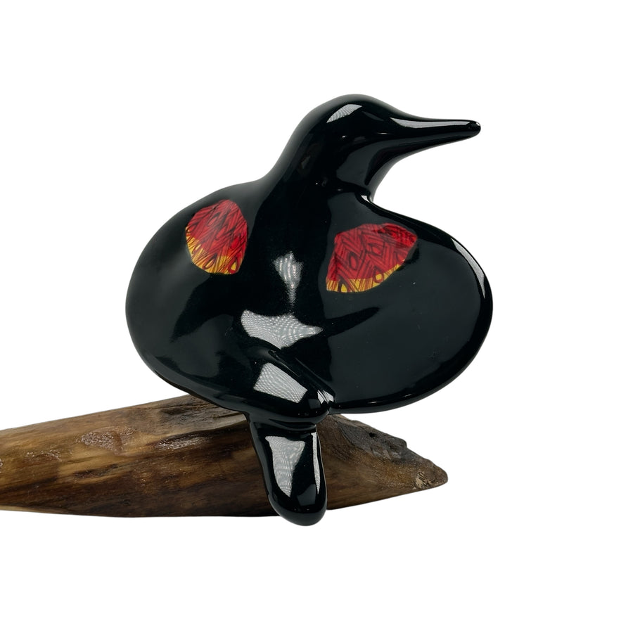 Bird - Red-winged Blackbird #1283