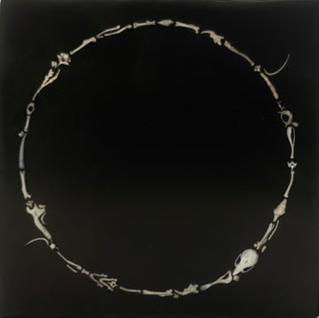 Circle