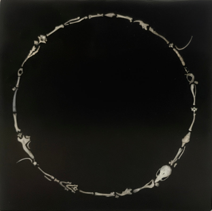 Circle