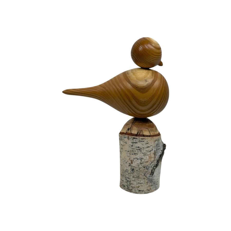 Bird on Perch