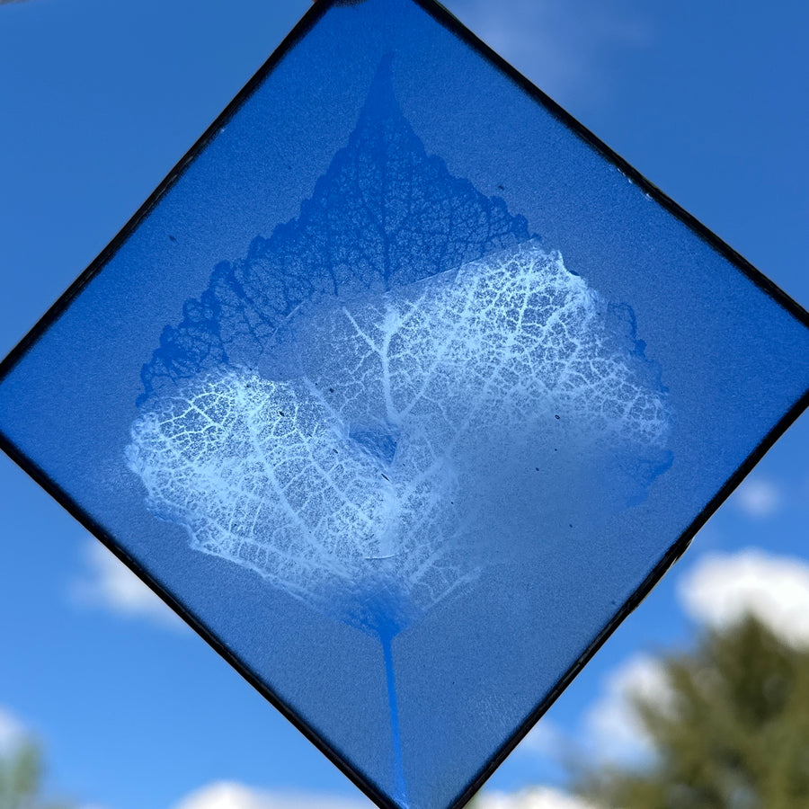 Etched Glass Suncatcher - Cottonwood Leaf