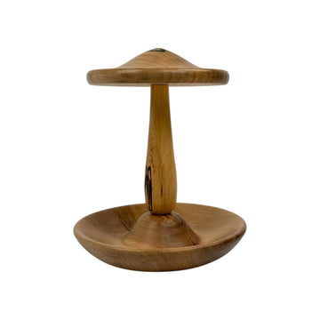 Earring and Jewelry Holder