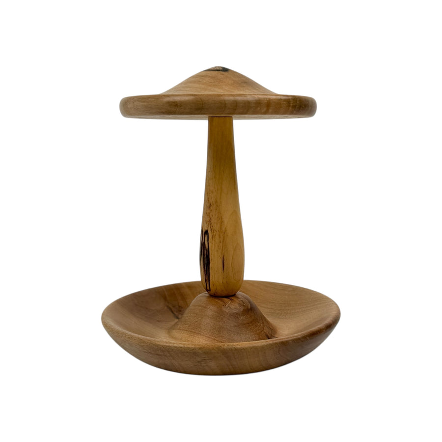 Earring and Jewelry Holder