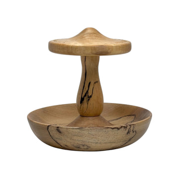 Earring and Jewelry Holder
