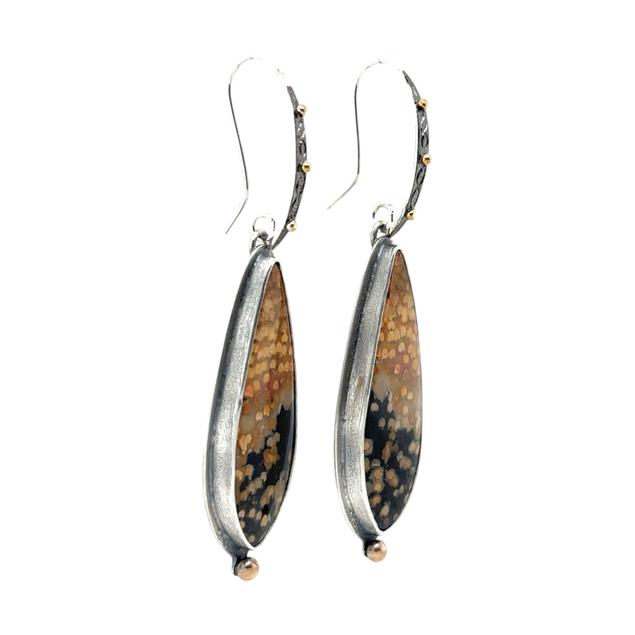 Earrings - Petrified Palm