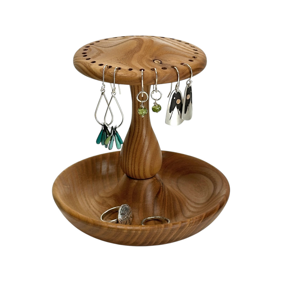 Earring and Jewelry Holder