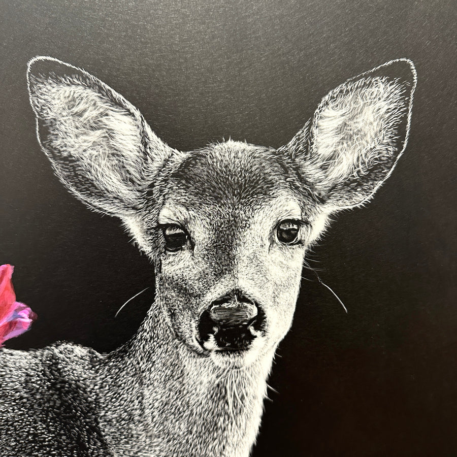 Tulips and Doe 2024 - Original Scratchboard