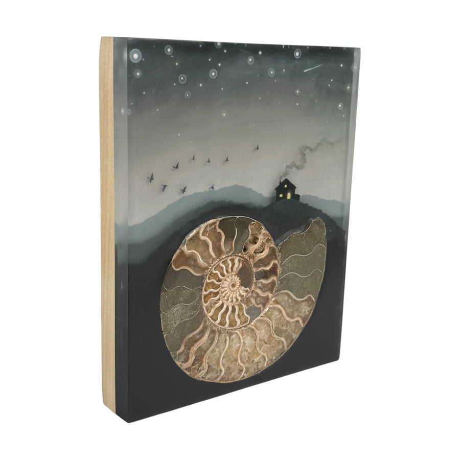 Lost Sea with Ammonite