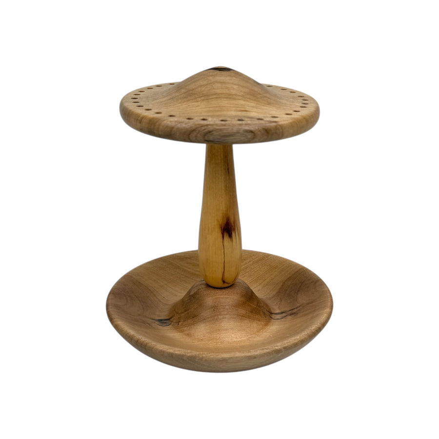 Earring and Jewelry Holder