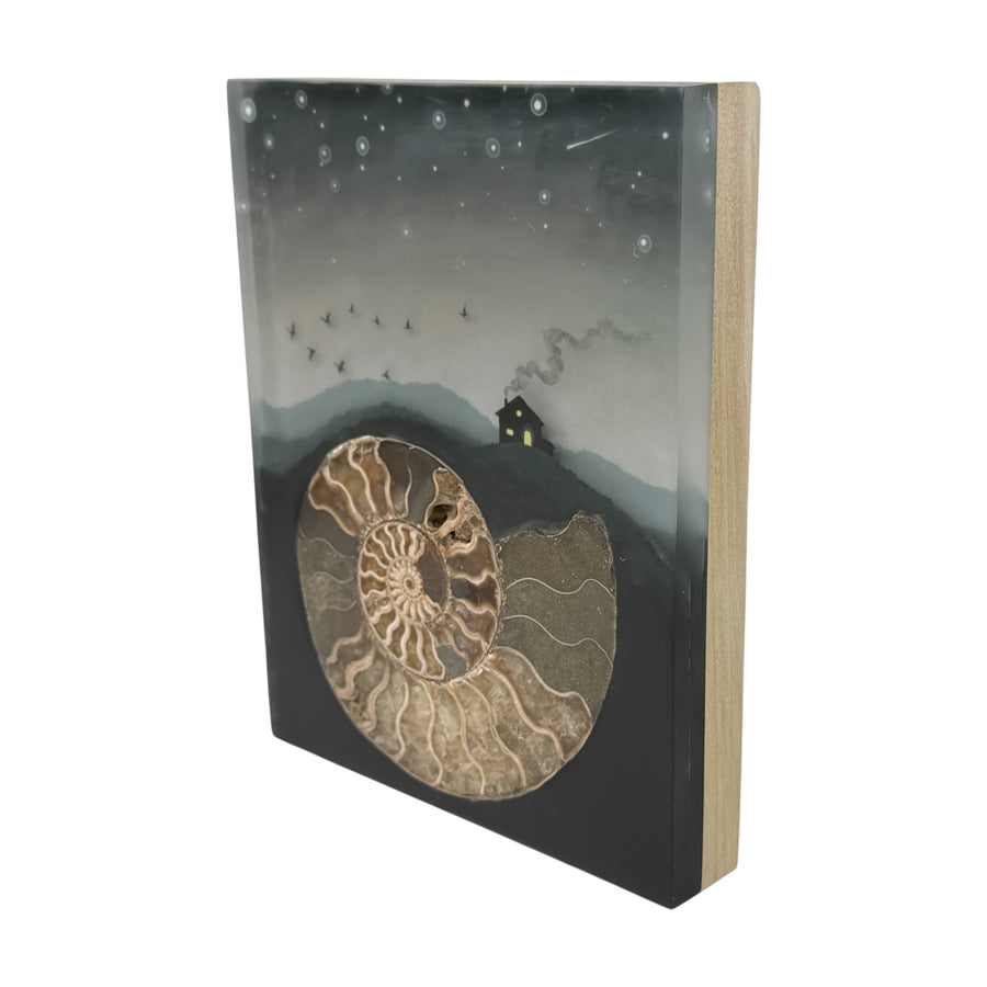 Lost Sea with Ammonite