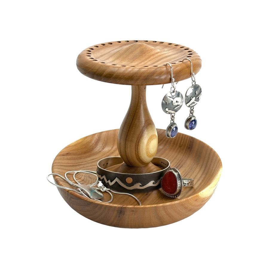 Earring and Jewelry Holder