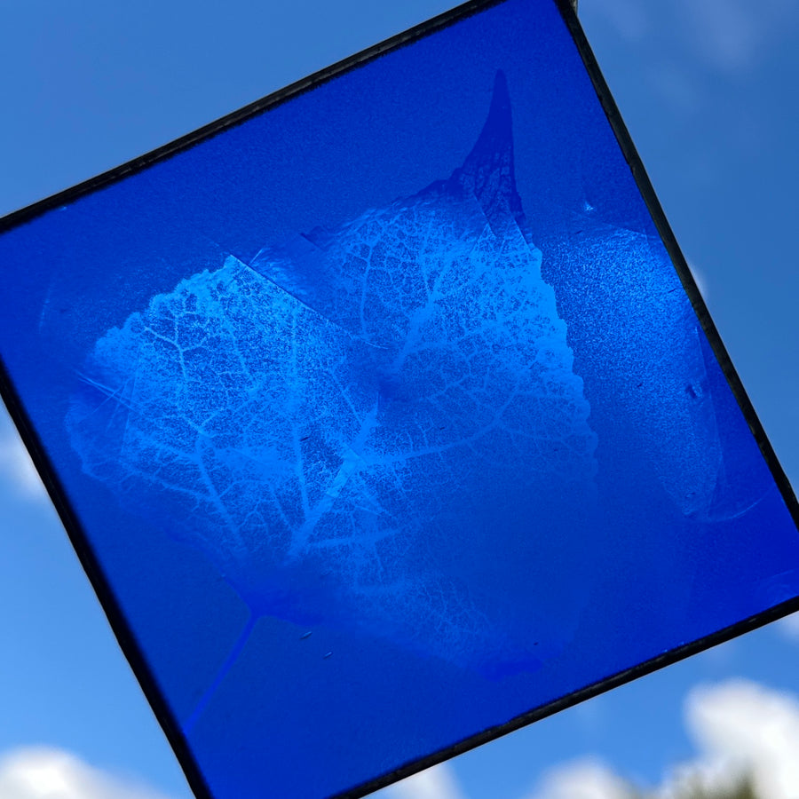 Etched Glass Suncatcher - Cottonwood Leaf