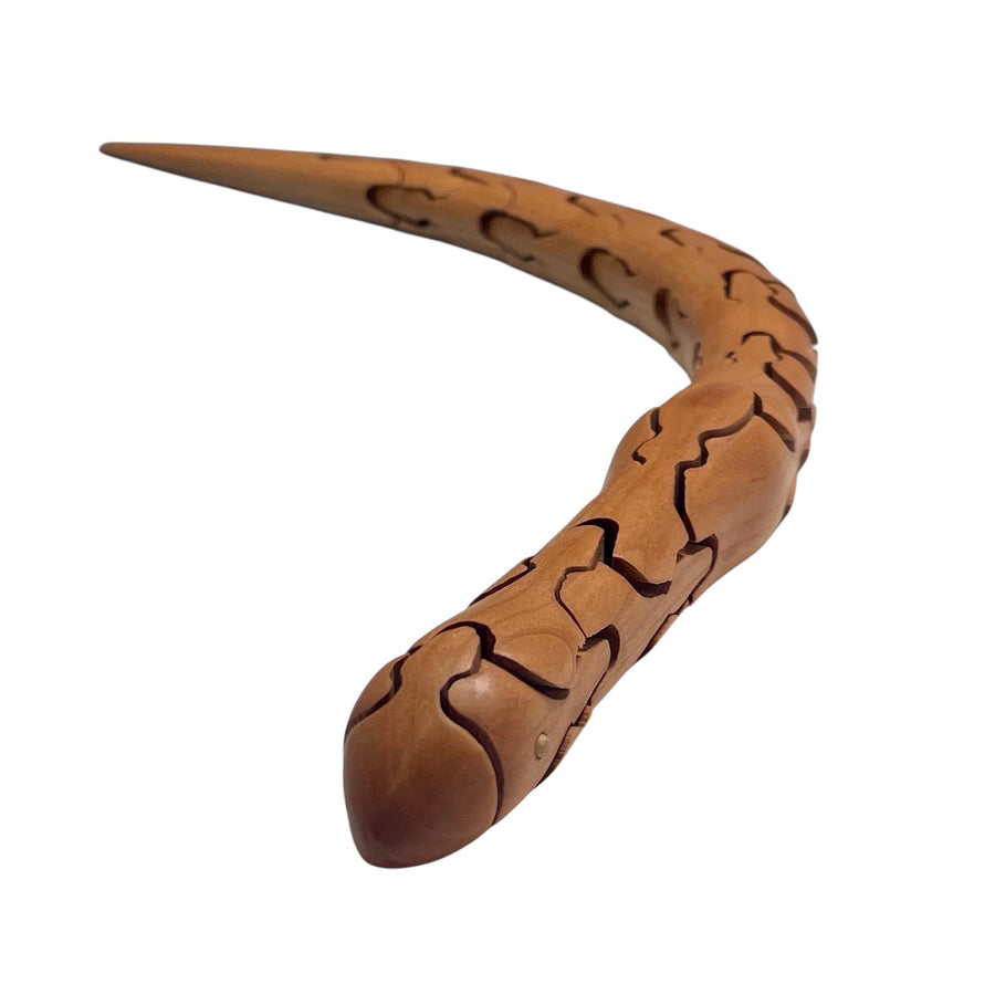 Snake Puzzle