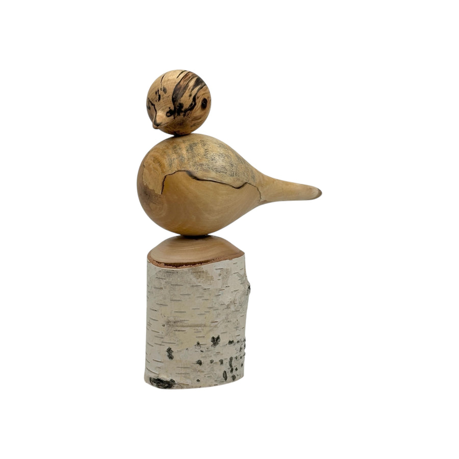 Bird on Perch