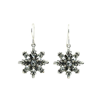 Earrings - Snowflake