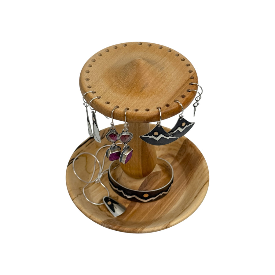 Earring and Jewelry Holder