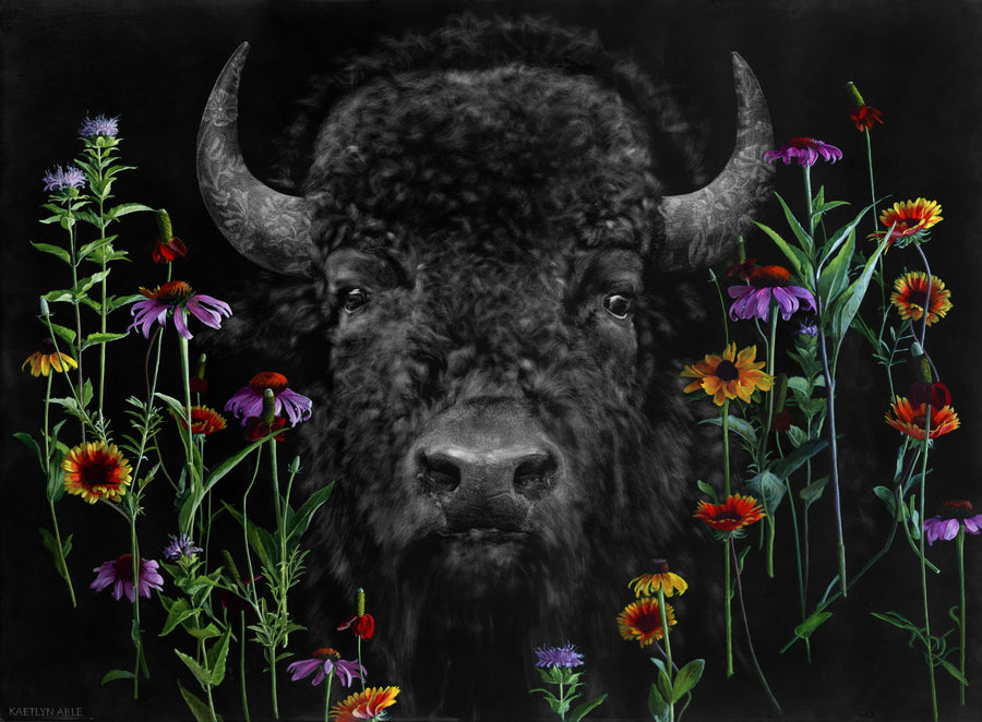 Steadfast - Original Scratchboard