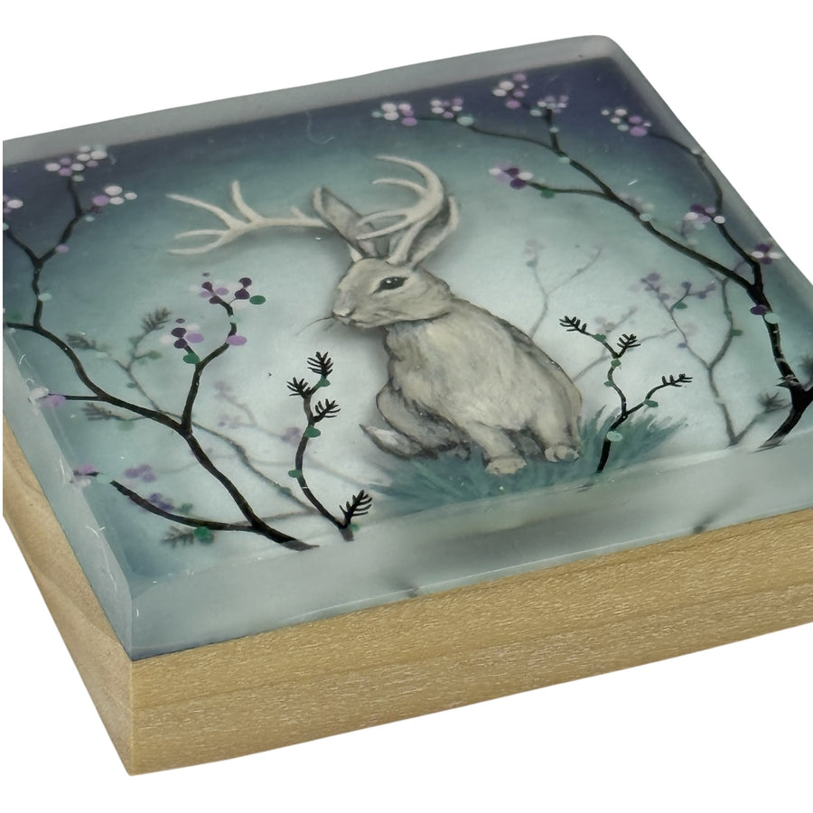 Jackalope