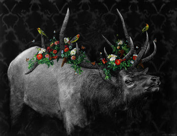 Strata - Original Scratchboard