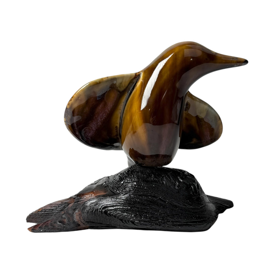 Bird - Tiger Eye #1313