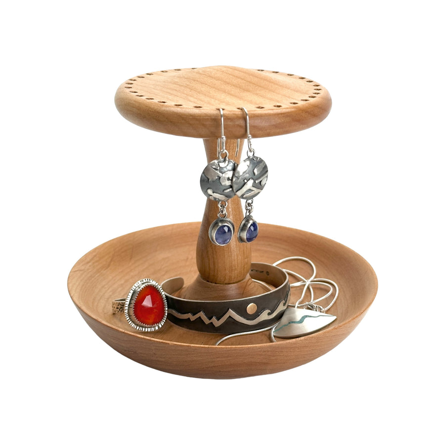 Earring and Jewelry Holder